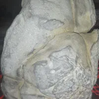 شهاب‌سنگ اهنی ودیوژینت وستا4.