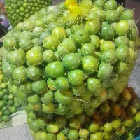 لیمو آبگیری درجه یک ودرجه دو 150