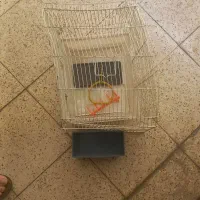 قفس پرنده