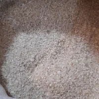 فروش نیم دانه برنج هاشمی