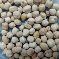فروش نخود محلی درجه یک