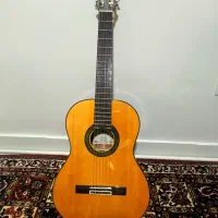 گیتار آریا AK30