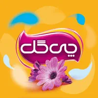 نیروی ساده آقا