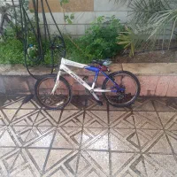 دوچرخه پلیس