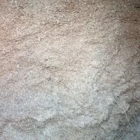 سامان|لوازم جانبی حیوانات|گرمی, |دیوار