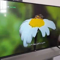 ال ای دی فقط معاوضه