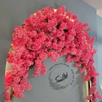 ایران گل تولیدنصب اجرا باسابقه درخشان درخت شکوفه