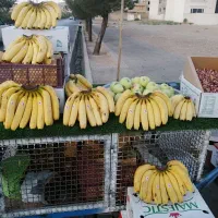 گاری چهار چرخ