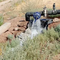 فروش 2.5هکتار پسته وزرشک