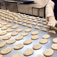 نان جو چیپسی  فقط برای شما باز داریم  کلوچه