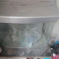 اکواریوم ماهیران ۲ عدد