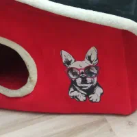 لانه سگ آپارتمانی خوشگل و زیبا