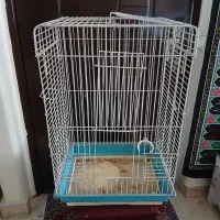 قفس پرنده