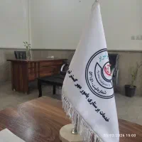 خدمات نظافت