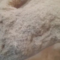 پخش پوشال و خاک اره