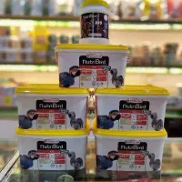 سرلاک A19 اورجینال اصل