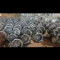 گیربکس دنده ای  اتومات چینی کره ای اروپای