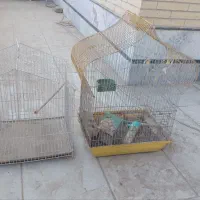 قفس پرنده