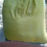 آرد گندم