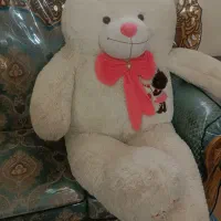 خرس عروسکی برزگ