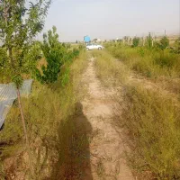 زمین دولت آباد