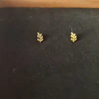 گوشواره برگی