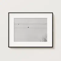 فروش عکس اورجینال