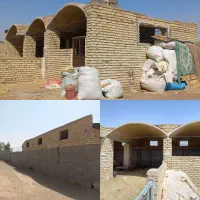 دامداری