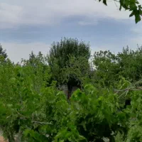 معاوضه باغ ویلا با آپارتمان یا ماشین