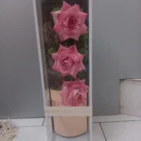 باکس گل شیشه ای