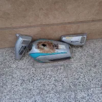 یک عدد باک سالم سالم یک تومن