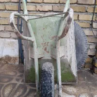 فرقون در حد نو