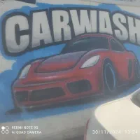 نیازمند نیروی کارواش