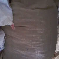 کود کبوتر