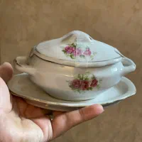 ظروف پذیرایی