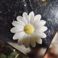 شمع