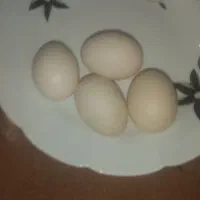 تخم مرغ محلی