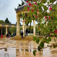 شماره رند