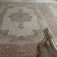 فرش|فرش|رشت, توشیبا|دیوار