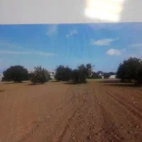 زمین موقعیت مسکونی در منطقه خوش اب و هوای تفت