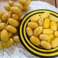 فروش خارک حاج باقری و برهی