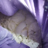 ماست چکیده گوسفندی