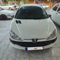 206 صندوق دار SD