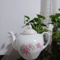 قوری ۱۰ کاپ هیاتی