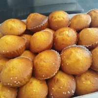 استا کیک و کلوچه