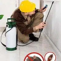 سمپاشی تخصصی اماکن  کنترل سوسک، ساس و حشرات