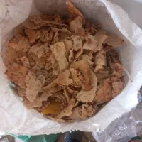 نان خشک|لوازم جانبی حیوانات|چناران, |دیوار