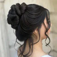 شنیونکار حرفه‌ای