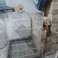 قفس طوطی رنگ سفید