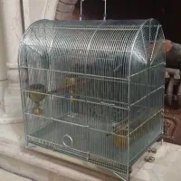 قفس سهره